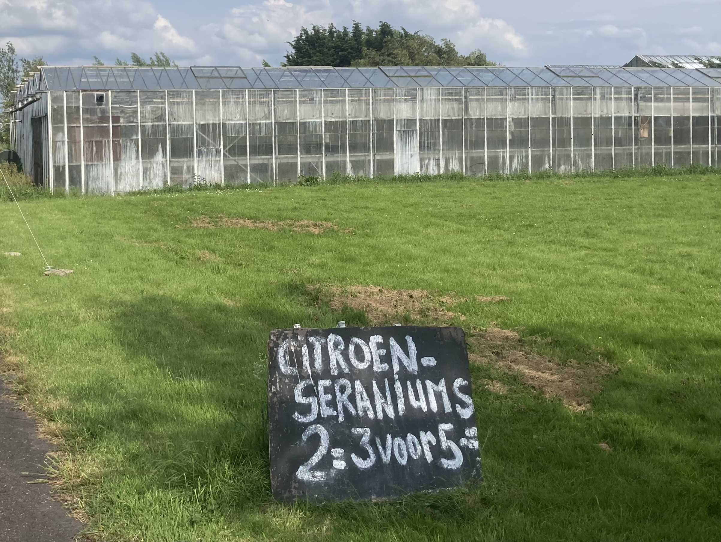 Many cut flower growers are flouting pesticide regulations