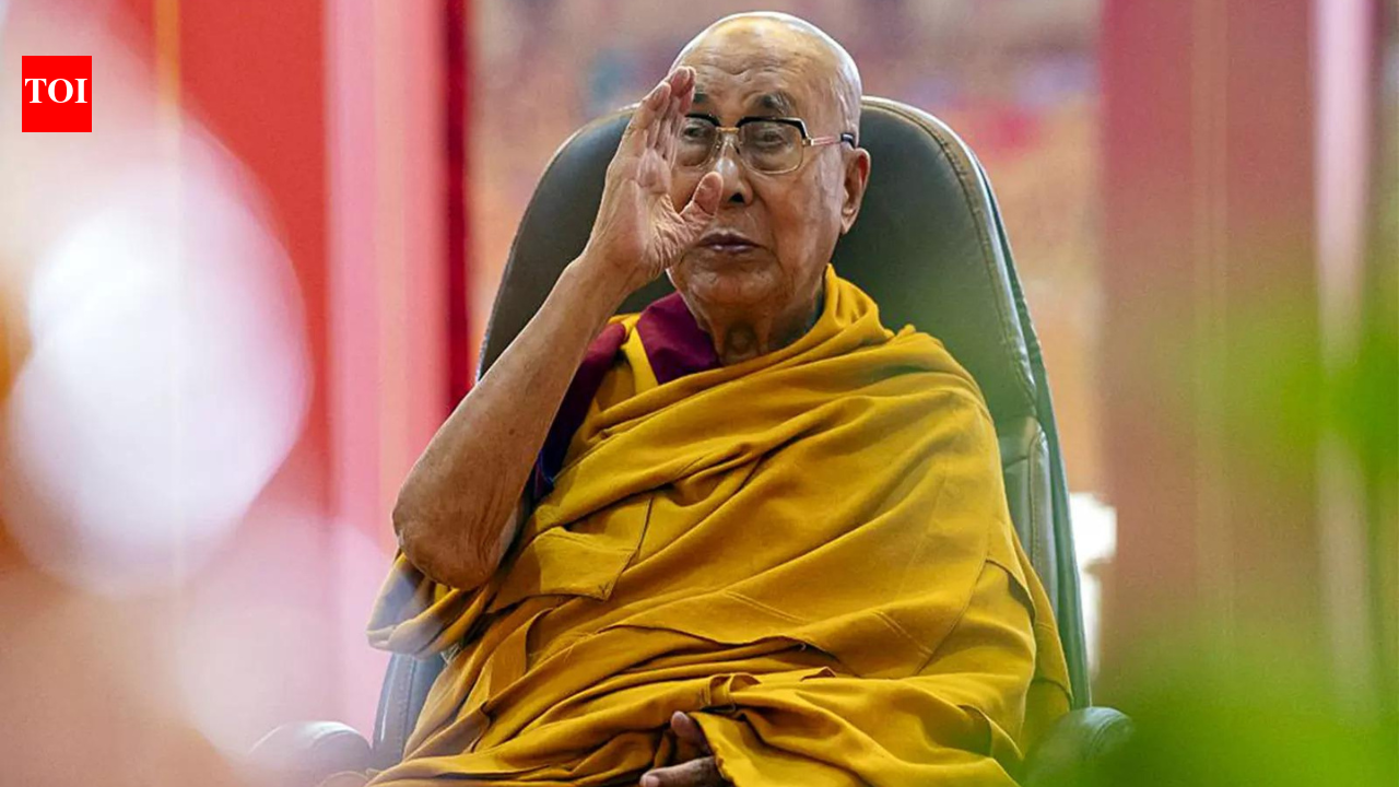 'Never met Jeffrey': Dalai Lama denies links with Epstein files