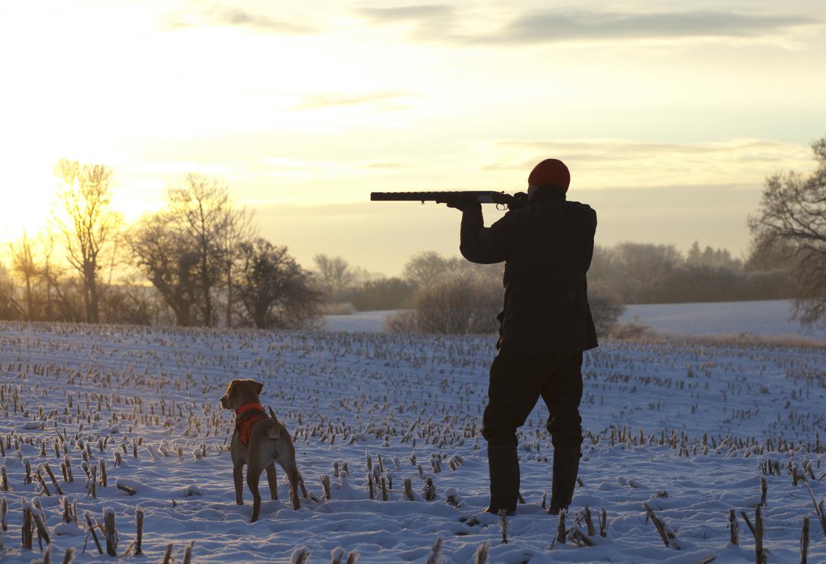New York Cracks Down After Shocking Hunting Cases Exposed