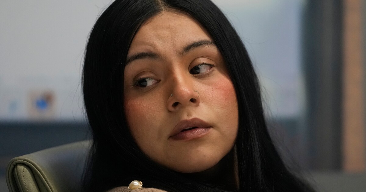 New footage released in case of Chicago woman shot by Border Patrol