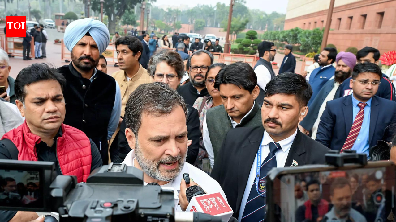 'Our Prime Minister compromised, sold our nation': Rahul Gandhi outside Parliament after LS snub | India News