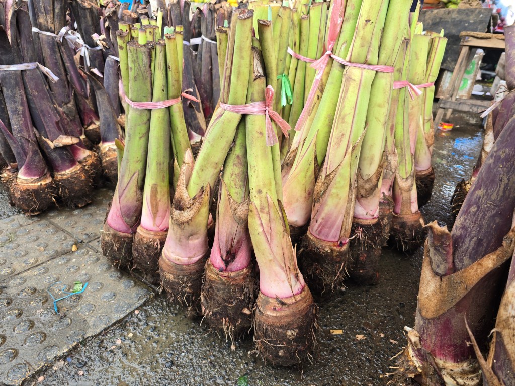 Palau Families Battle High Costs for Food Security, Jodean Says: ‘Plant Now for the Future Harvest’