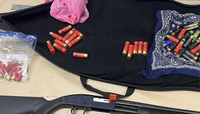 Police make progress in investigation into Onehunga shooting