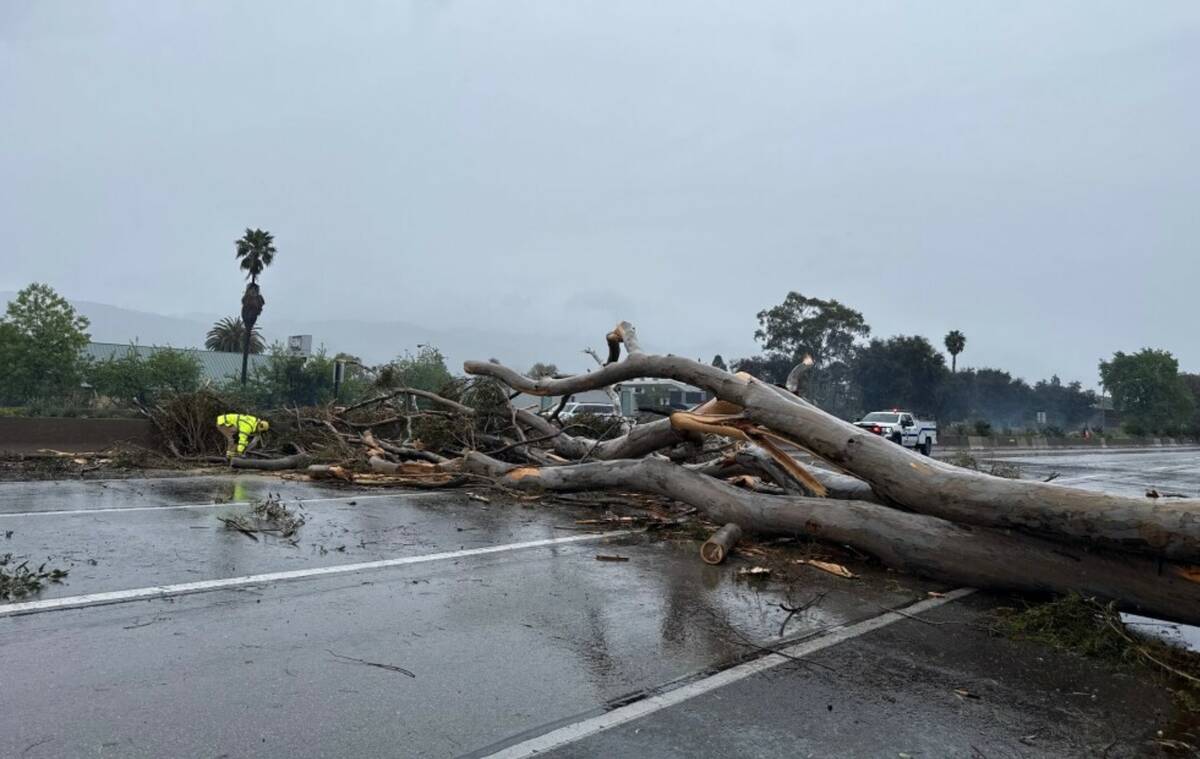 Presidents Day storm slams California with high winds, heavy rain ...