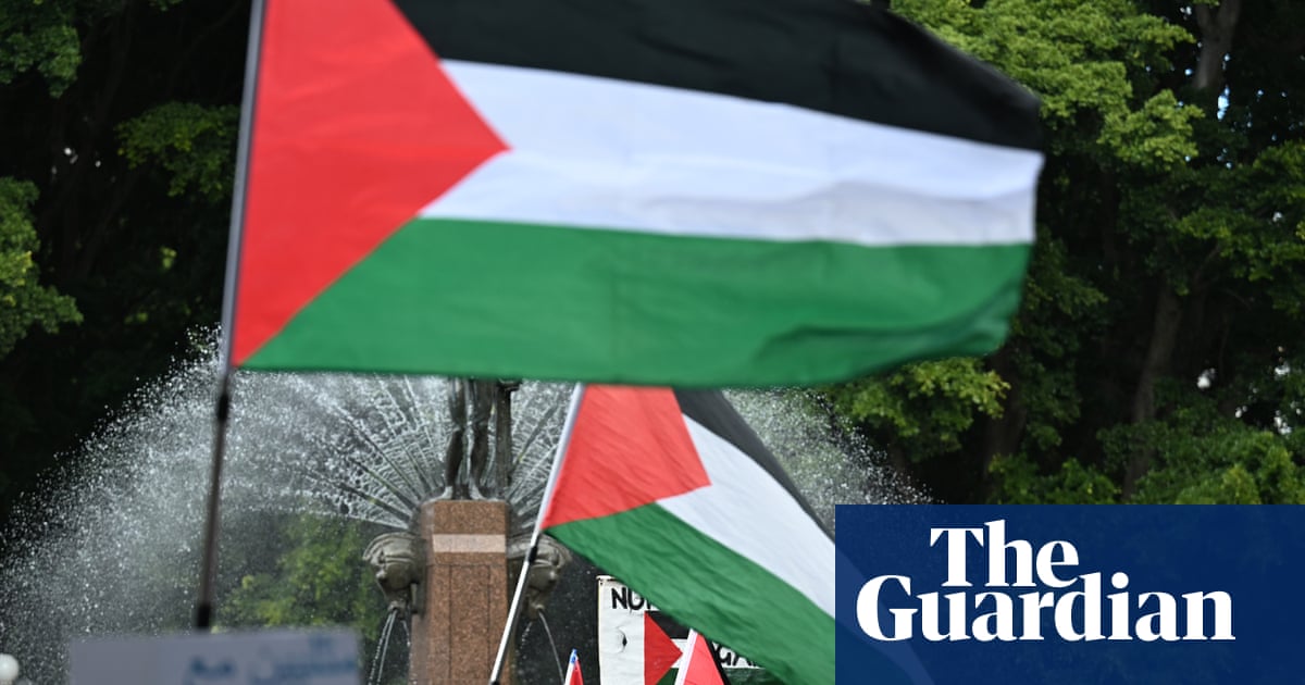 Pro-Palestine group loses legal challenge against sweeping NSW police powers for Isaac Herzog’s visit | New South Wales politics