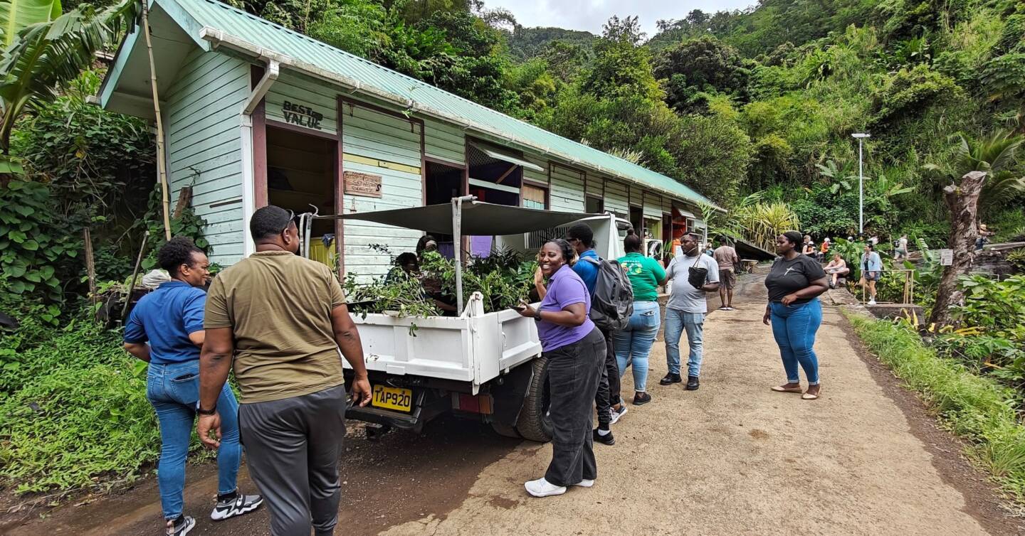 RDU strengthens farmer support and reforestation efforts