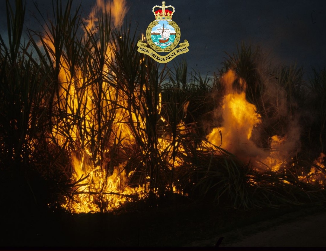 RGPF investigate bush fire at La Calome, St David