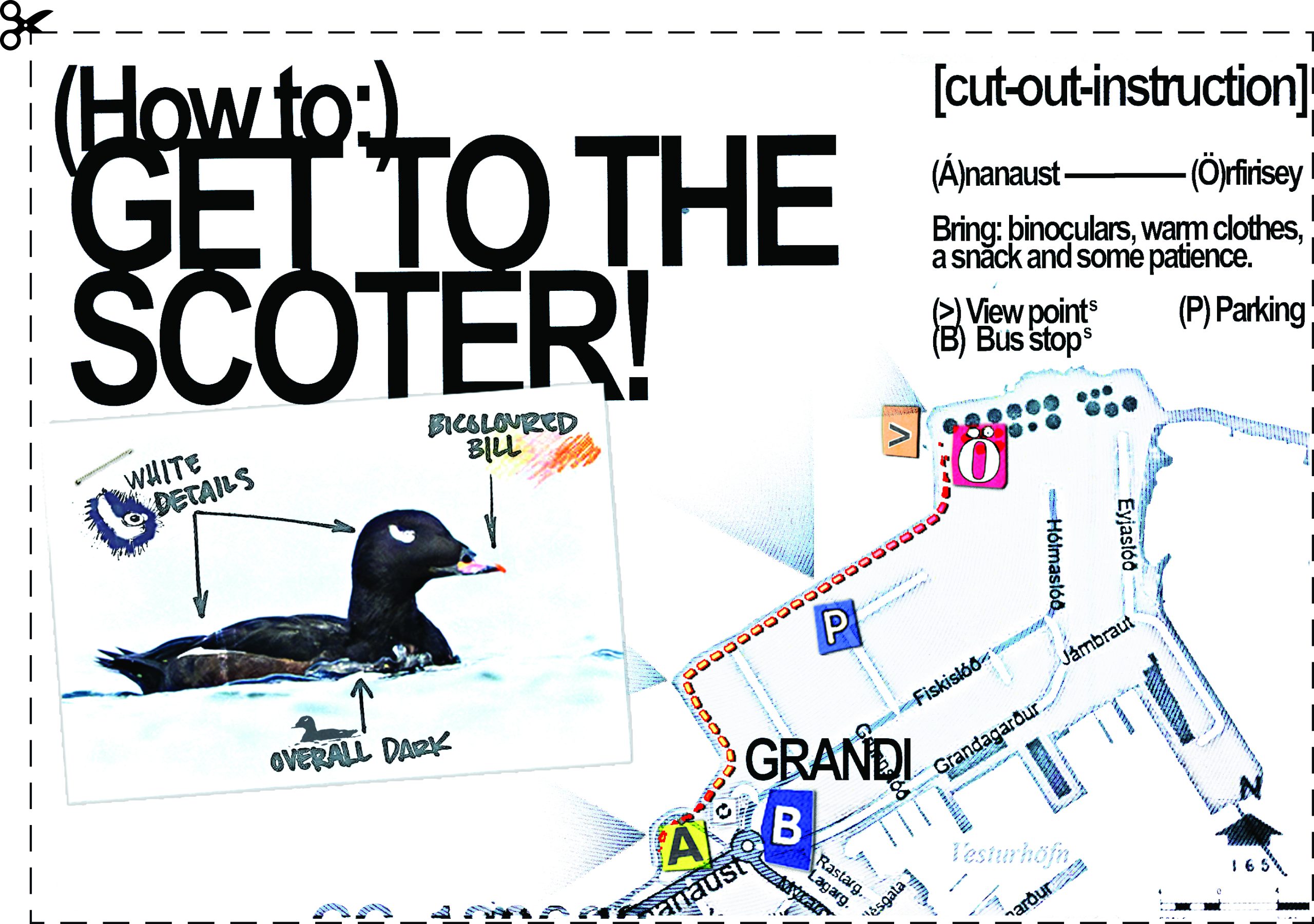 Running An Errand With A Winter Resident, The Punk Of The Sea