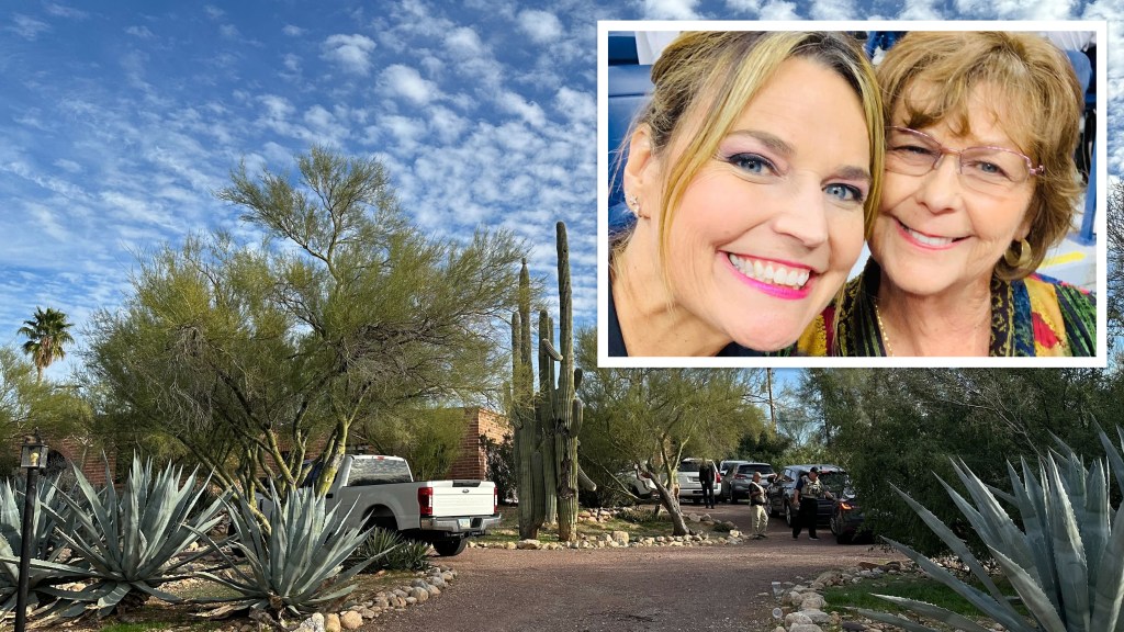 Savannah Guthrie's sister last to see mom, blood found on scene