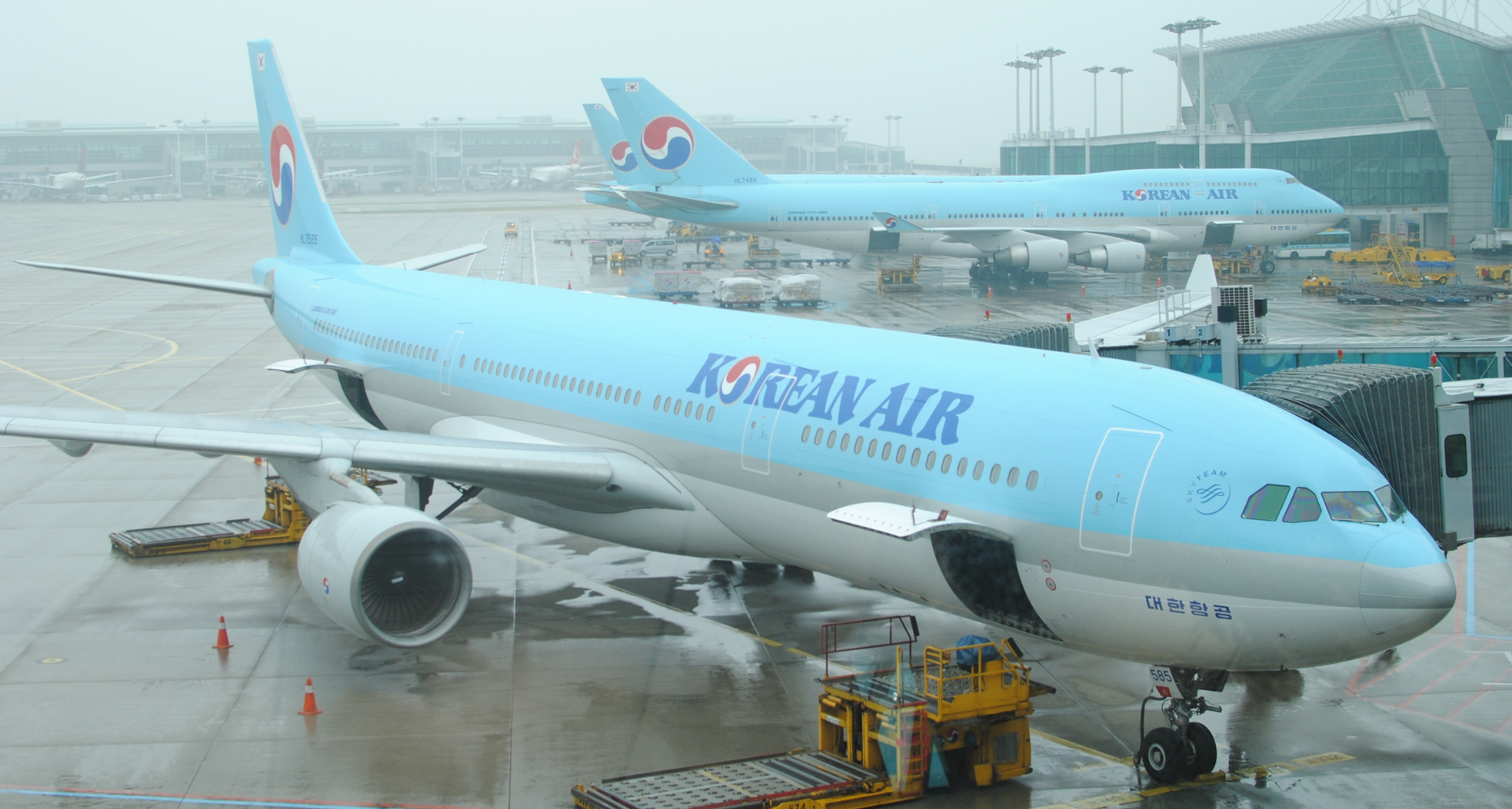 South Korean police ground plane over assisted suicide trip