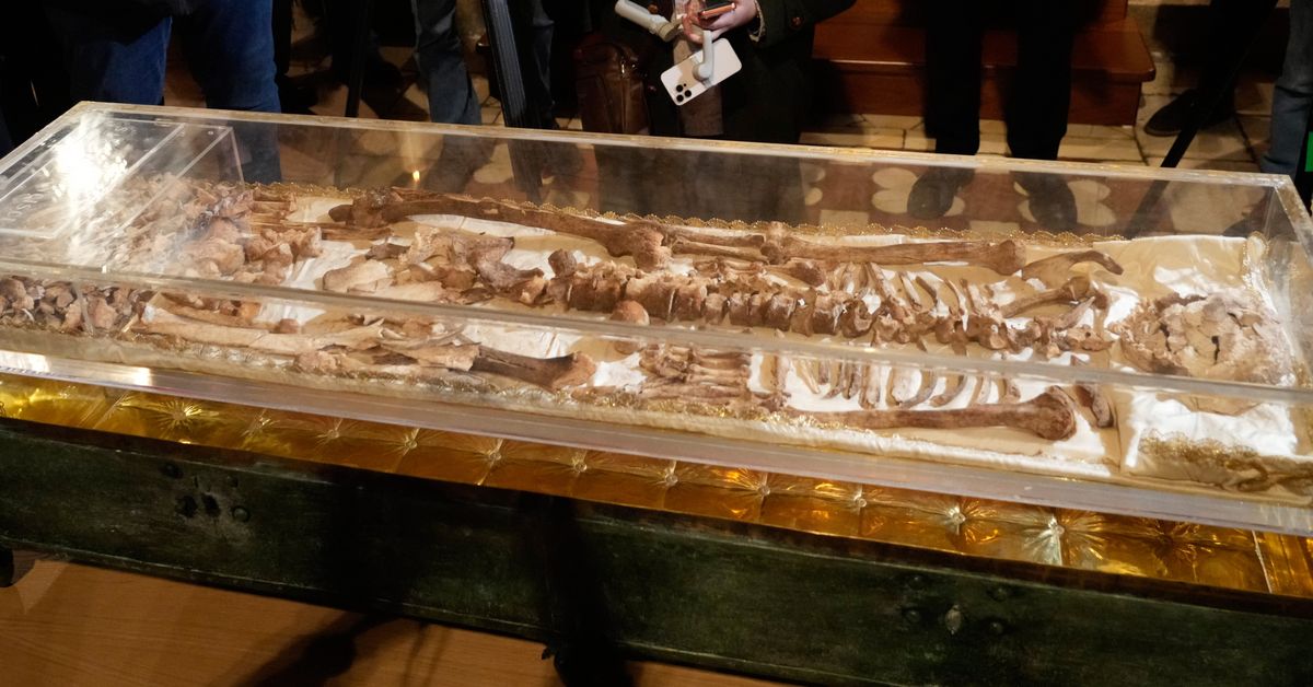 St Francis of Assisi's bones on display for pilgrims in Italy