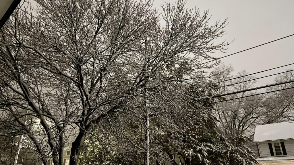 Storm leaves entire town on Maryland’s Eastern Shore without power