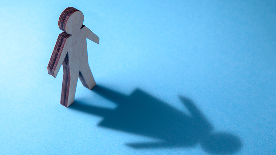 TD says Govt sitting on Cass Review assessment