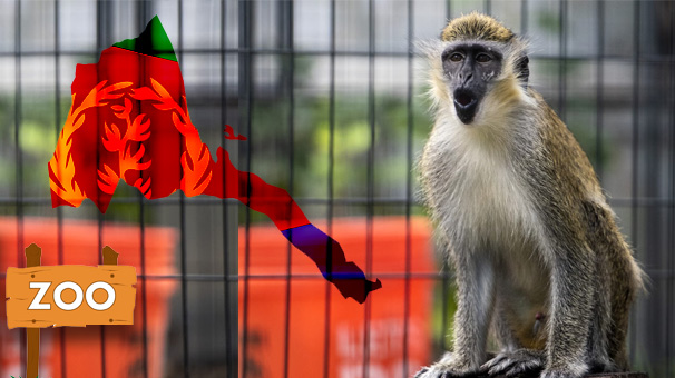 The Three-Nakfa Gaze: When Poverty Is Put on Display