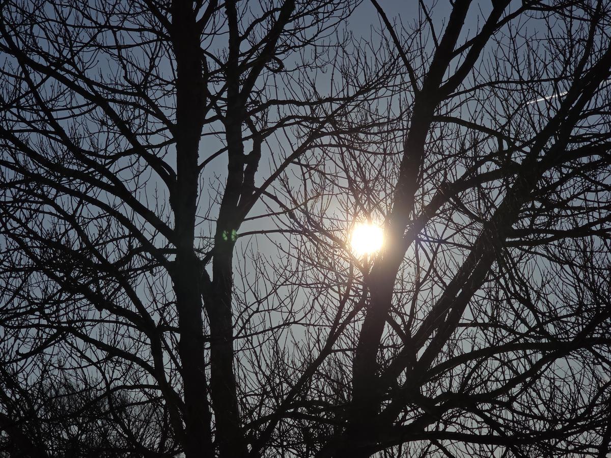 Two days of sunshine and mild temperatures