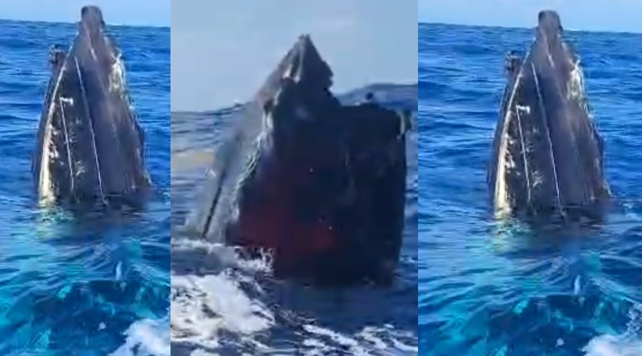 U.S. carries out lethal strikes in St Vincent waters