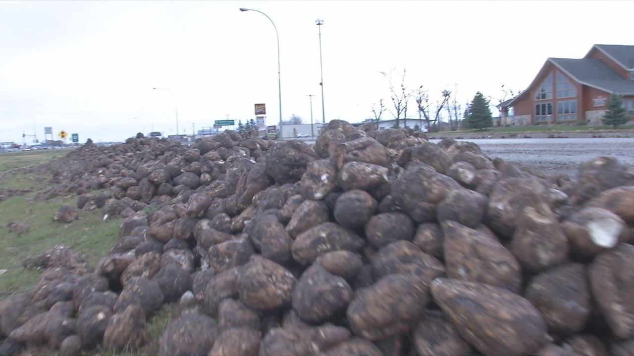 USDA announces $150 million in assistance for sugar producers