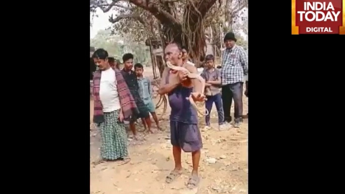 man lifts King Cobra using his Mouth