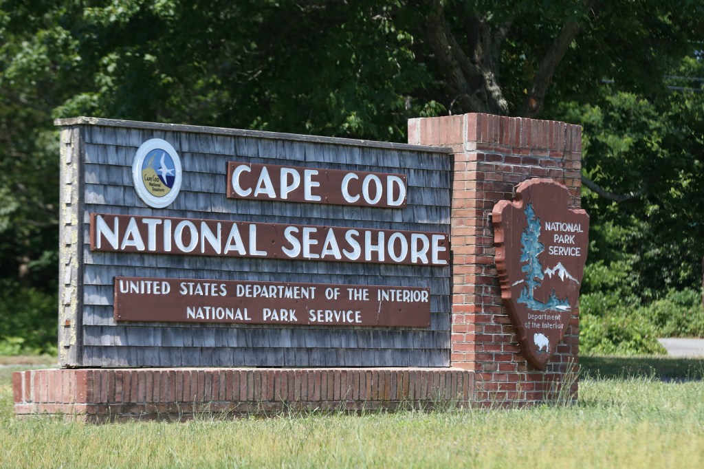 Woman drowns after falling through ice in Cape Cod, authorities search for husband