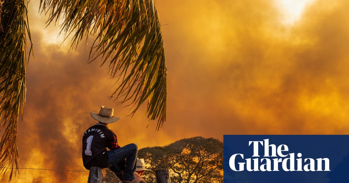 ‘Pure apocalypse’: a photographer’s journey through the Pantanal wildfires | Photography