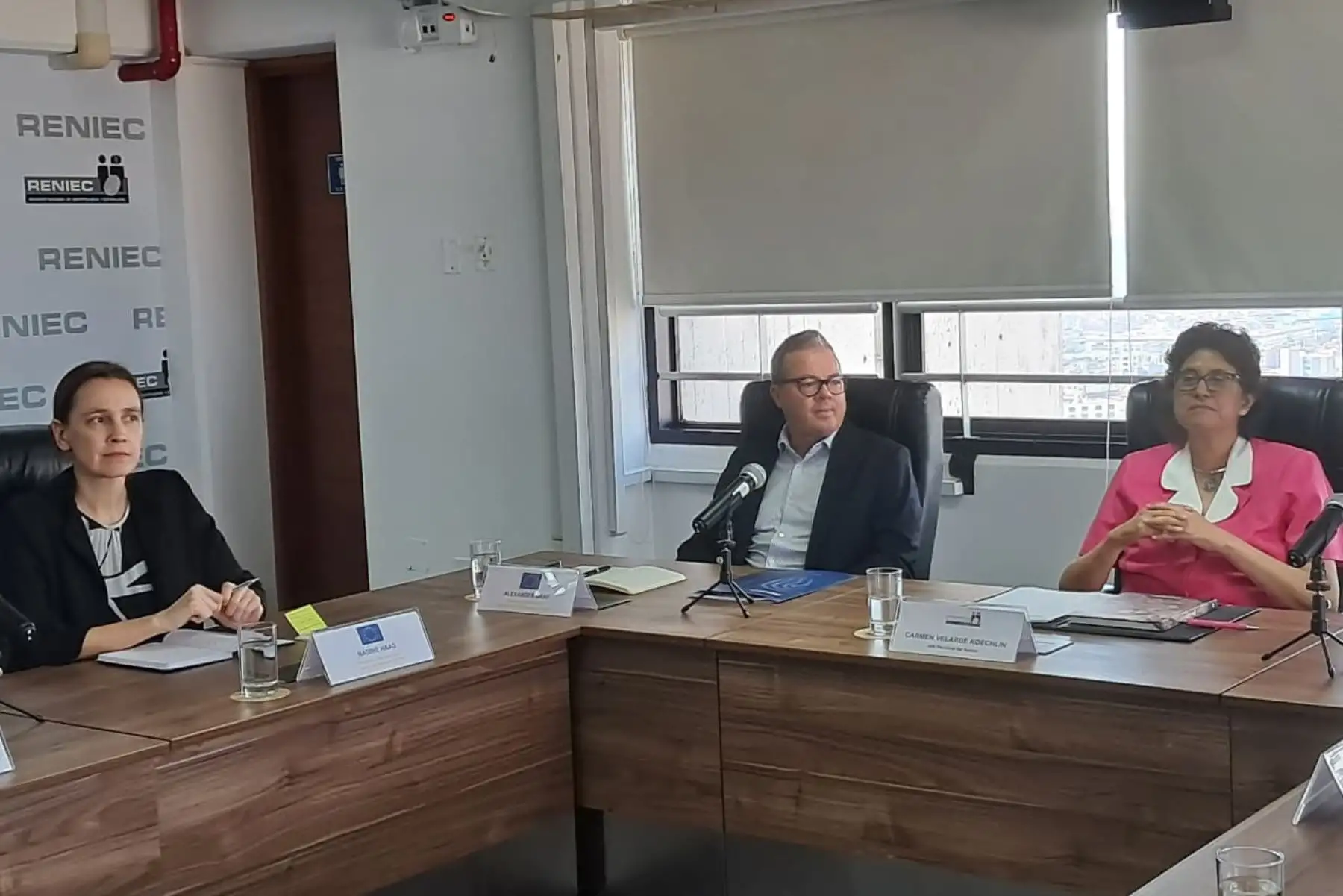 2026 Elections: EU EOM urges massive voter turnout in Peru | Noticias