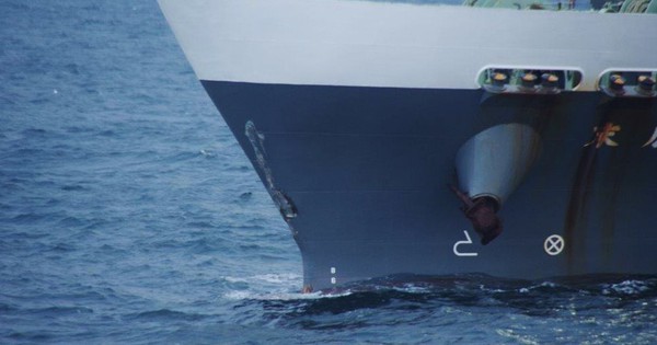 4 die after cargo ship, fishing boat collision off Aomori