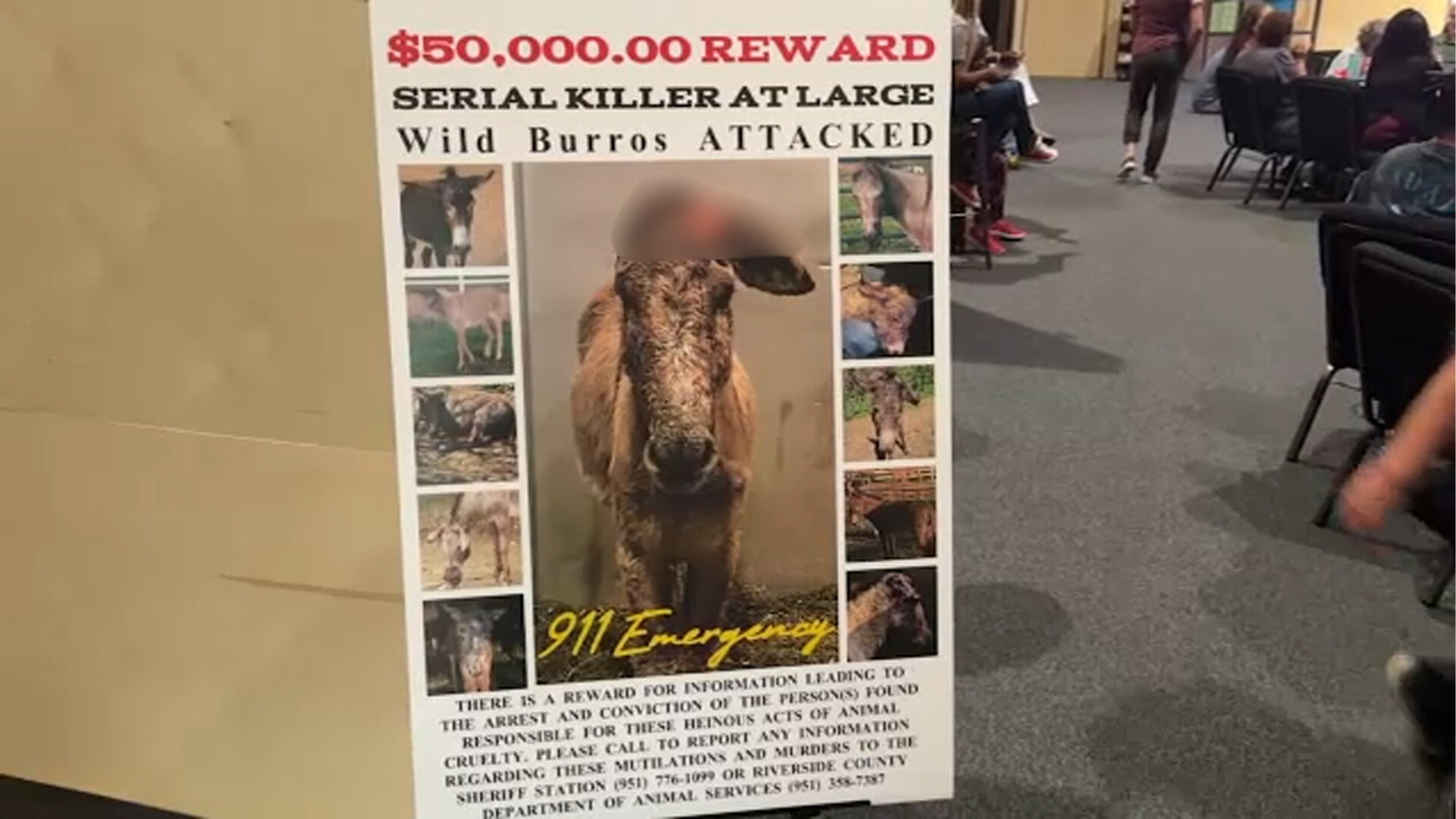 $50K reward offered for information as outrage grows over brutal attacks of donkeys in Reche Canyon in Inland Empire