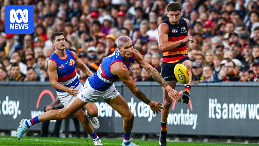 AFL Adelaide Crows vs Western Bulldogs live updates: Izak Rankine returns for Adelaide Oval blockbuster blog, scores, stats