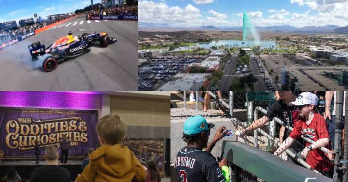 AZ State Card Show, Oddities & Curiosities Expo, Aloha Festival