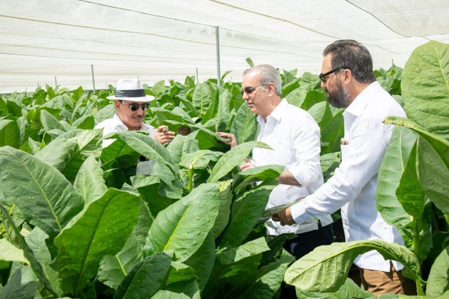 Abinader tours La Milagrosa Farm to strengthen tobacco technology