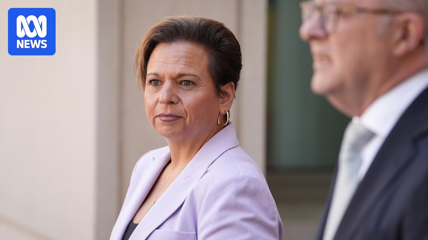 Albanese government walks AI tightrope between risk and opportunity