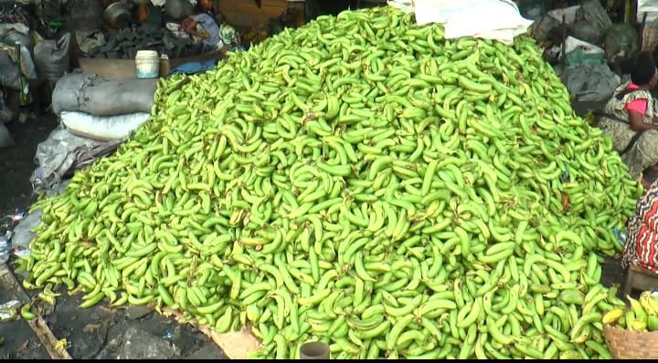 Banana Prices Soar in Cameroon Despite Record Exports