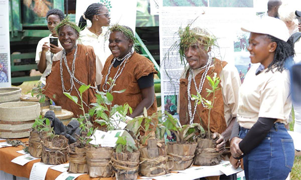 Batwa community shares ancient healing knowledge at World Wildlife Day
