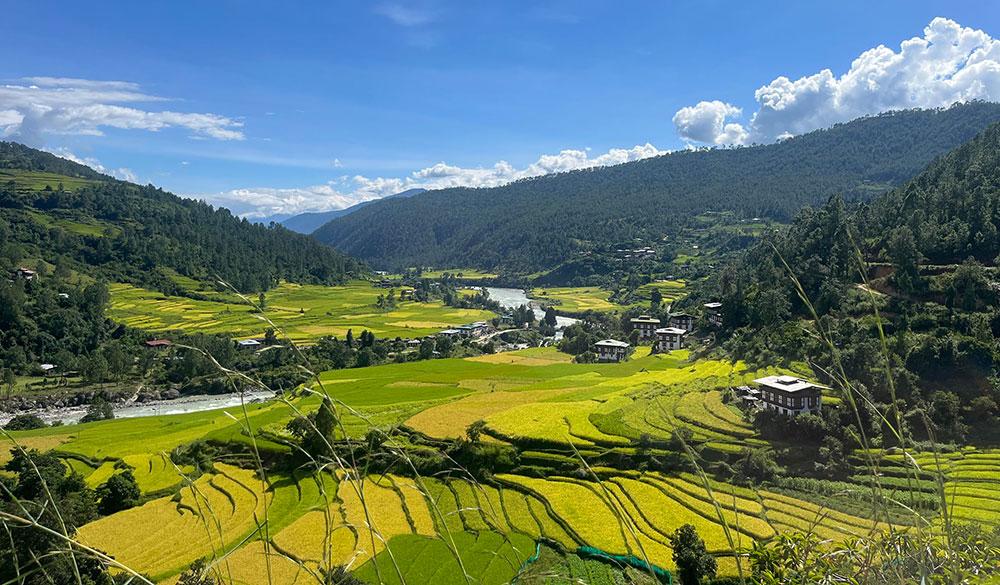 Bhutan's rice bowl under climate pressure