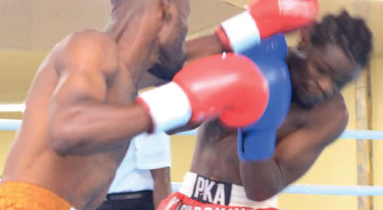 Boxing federation launches league - Nation Online