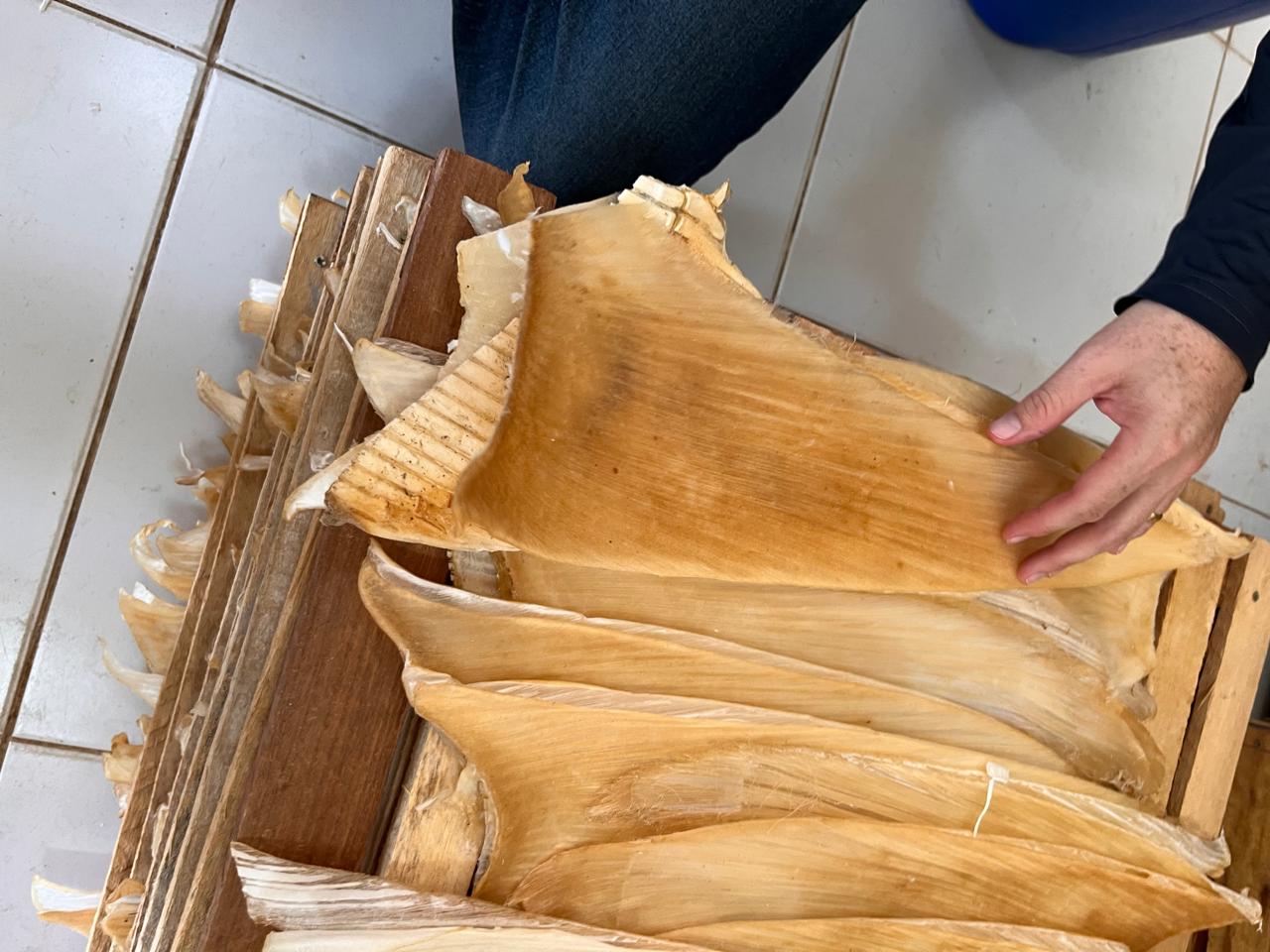 Brazilian police seize more than 1.5 metric tons of shark fins