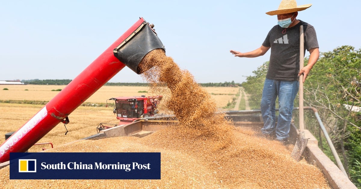 Can China massively reduce food imports with super-efficient unmanned rice farms?