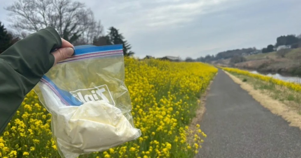Can you make butter by running with a pouch filled with cream? Let’s find out[Taste test]