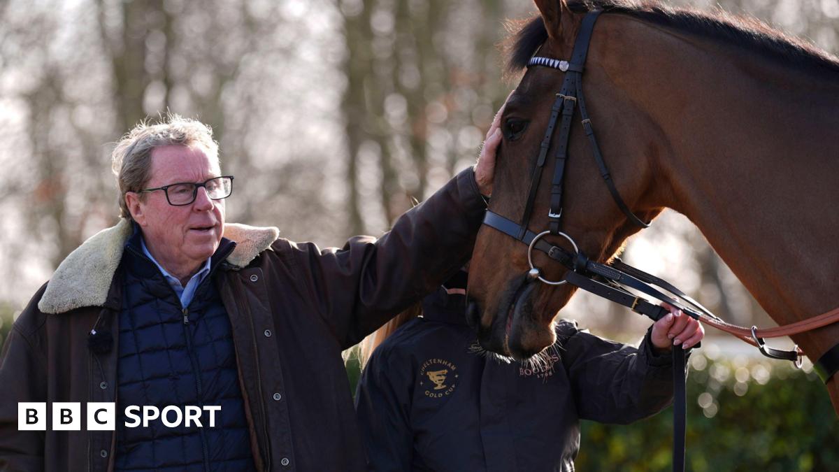 Harry Redknapp strokes Jukebox Man