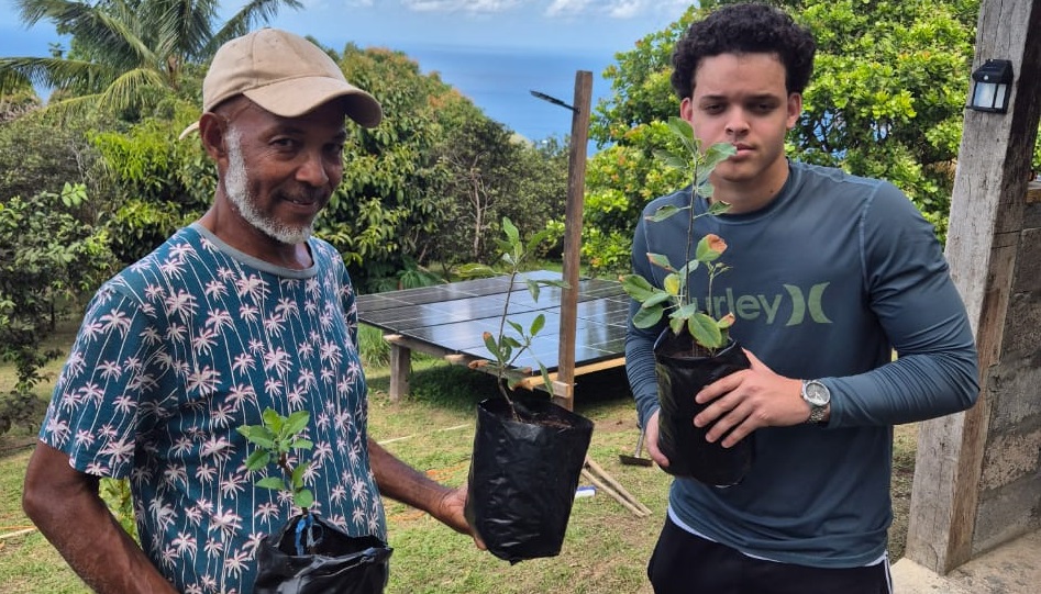 Cherio farms pilots Wambugu apple in St Vincent