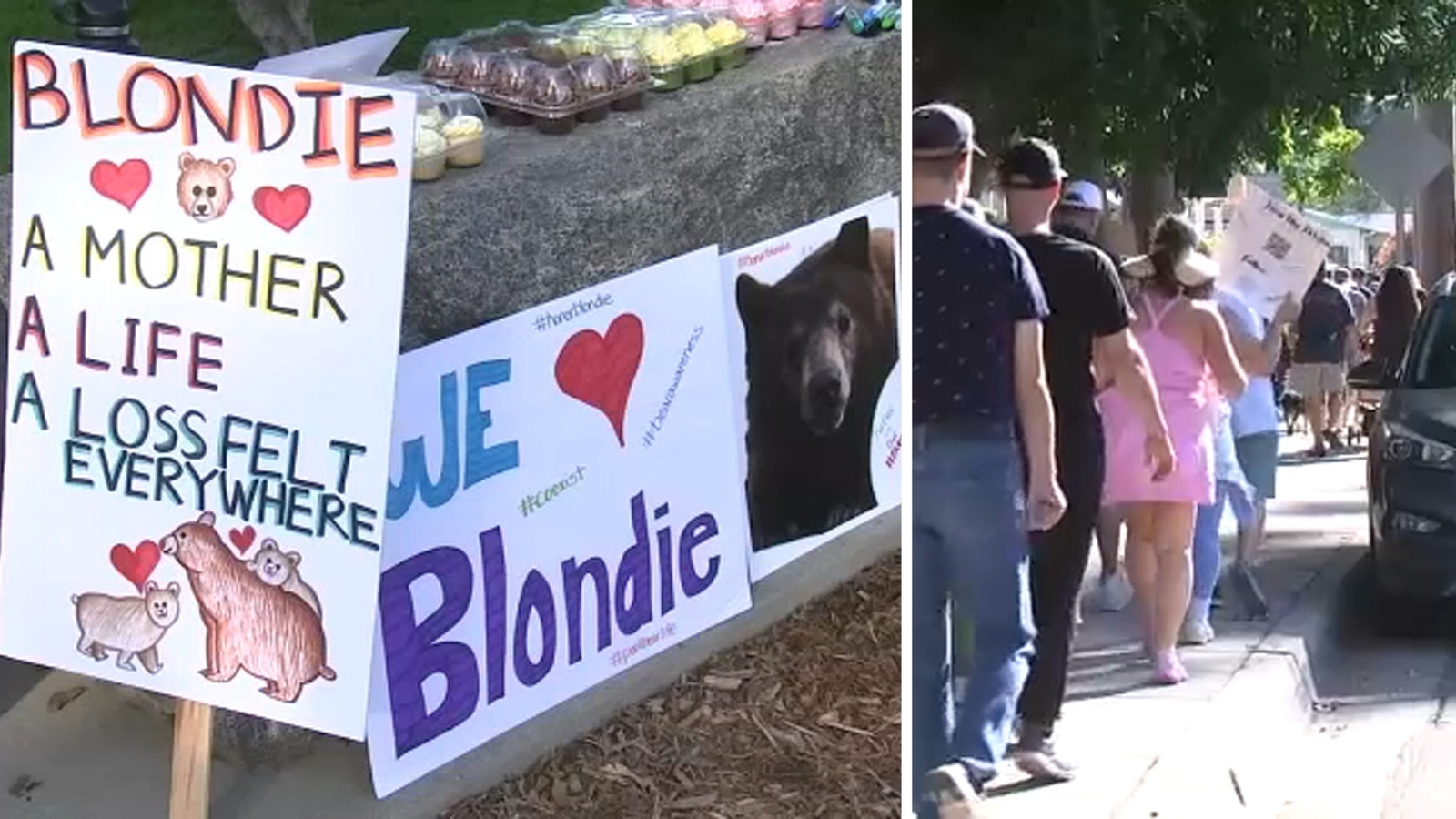 Community walk honors Monrovia mama bear Blondie euthanized after attack; over 100 neighbors call for policy change