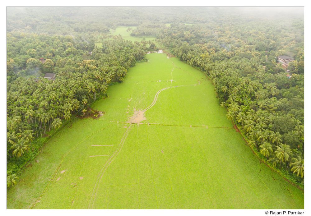 Controversial Sections 17(2) & 39A threaten to turn ‘Green’ Canacona into a ‘Concrete’ jungle