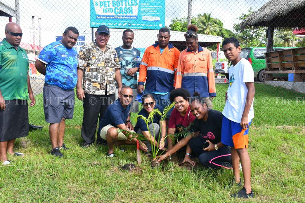 Council targets 6000 trees