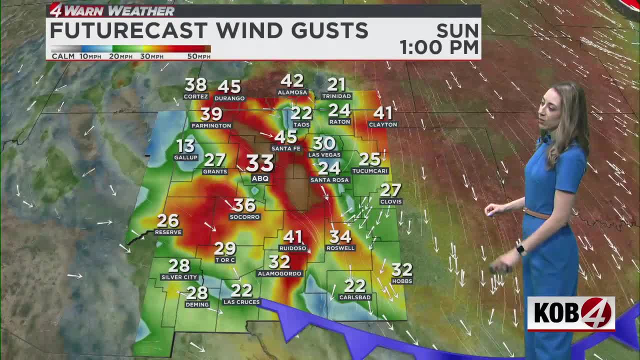 Damaging wind gusts and fire risk expected in parts of New Mexico