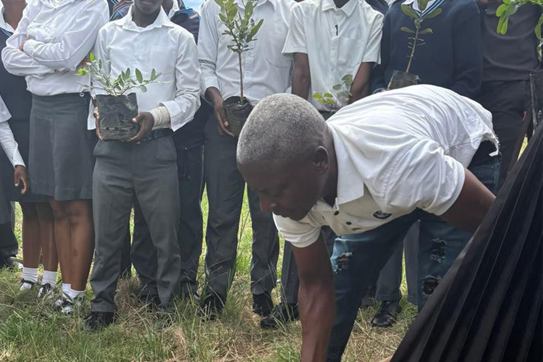 EEA AND ENTC LAUNCH HLANYELA LIKUSASA TREE PLANTING CAMPAIGN