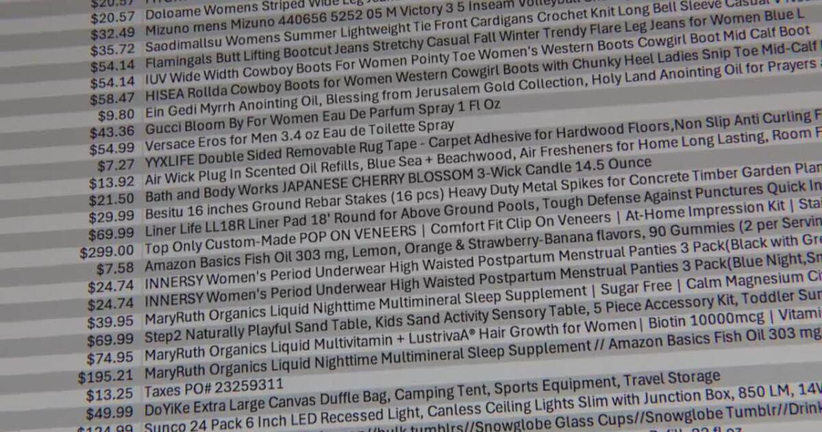 ESA audit flags millions of dollars in purchases with education funds