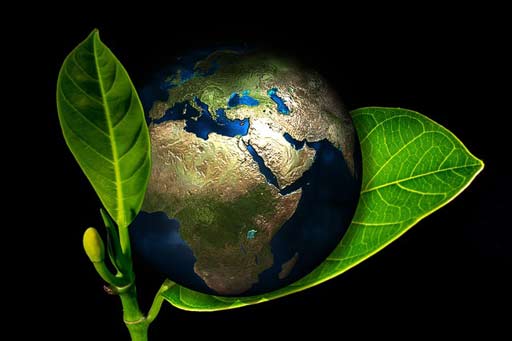 earth-hour
