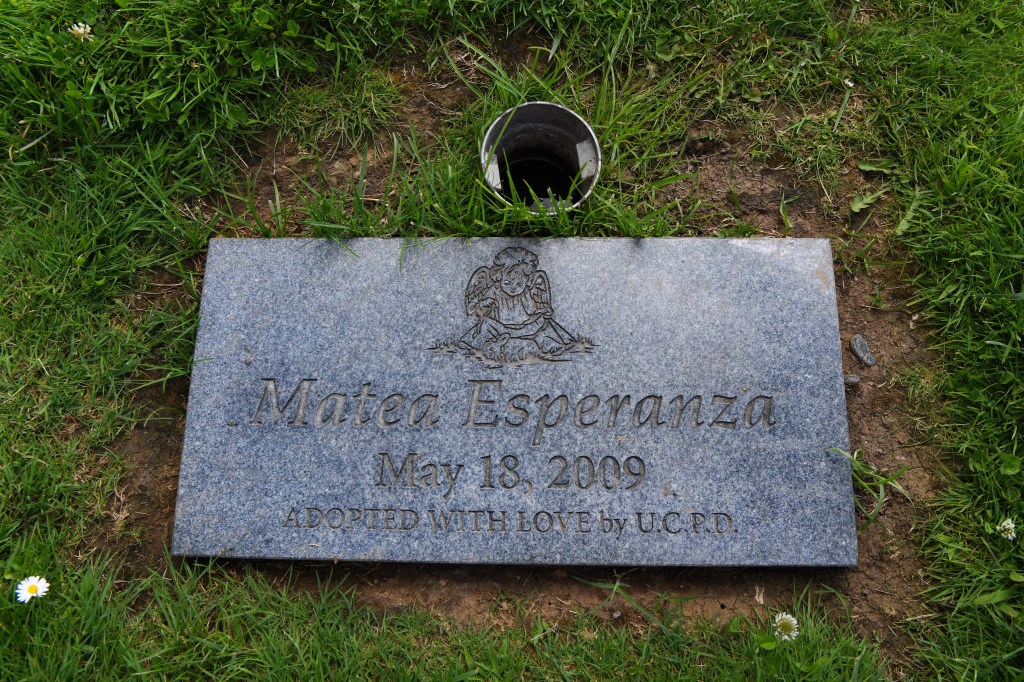 East Bay judge revokes medical license for woman accused of drowning newborn baby