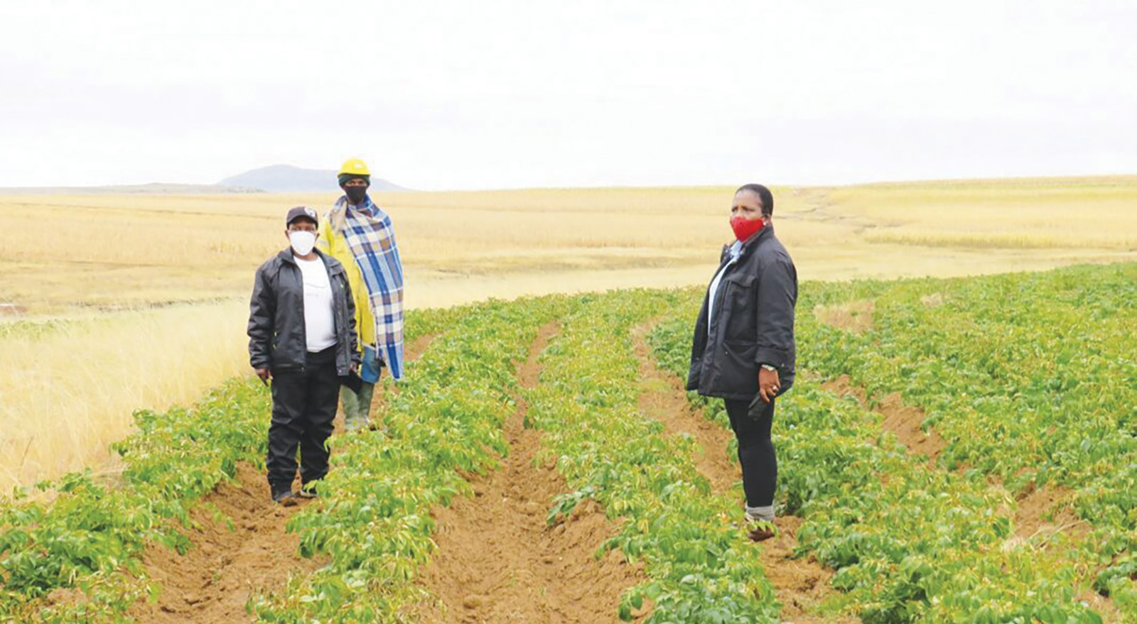 Farmers push for local purchase policy - The Reporter Lesotho