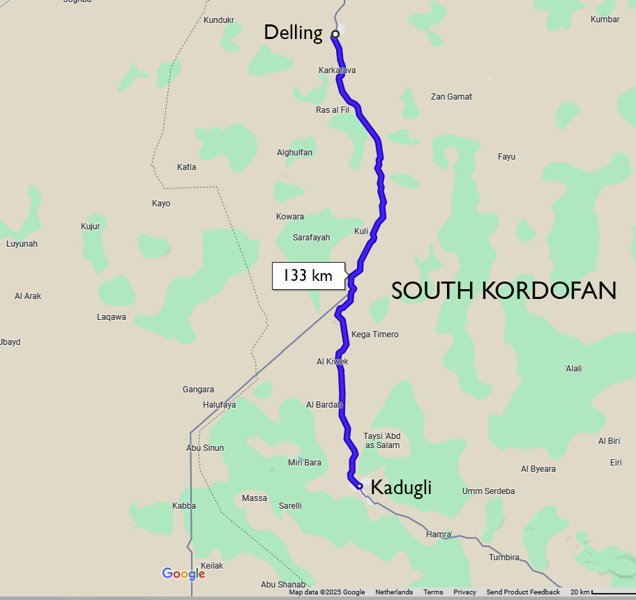 Fierce clashes in South Kordofan as ‘RSF seizes key town’